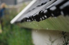 2020年雨水节气可以搬家吗，雨水节气注意事项