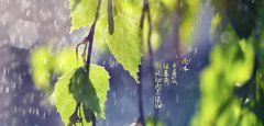 2020年雨水节气财神方位查询