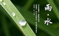 2020年雨水节气那天几点几分是雨水时辰？