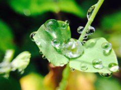 2020年雨水节气是哪天具体时辰是多少？