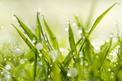 2020年雨水节气要注意什么，雨水不能做什么？