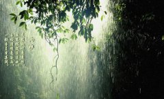 2020年雨水节气的温度多少度,天气会变暖吗?