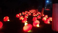 春节的时候吃什么水果比较健康