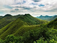 正月大年十一出生的人命硬吗?