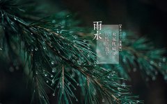 2020年雨水是哪天？雨水出生的伟人名人有哪些？