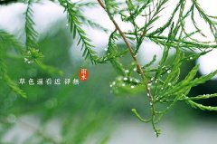 2020年雨水出生的人好吗，命运好不好？
