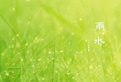 2020年雨水节气可以理发吗？雨水节气有什么讲究？