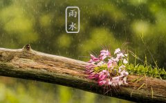 2020年雨水节气是哪天？雨水出生的男孩命运好不好？