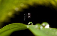 2020年正月十五雨水节气这天的日子适合烧香祈福吗？