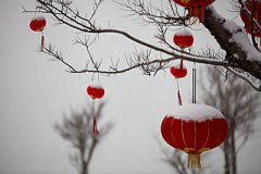 2020年农历正月十七是黄道吉日吗?