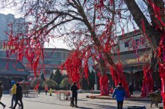 2020猪年正月十四这天可以装修动土吗？日子怎样