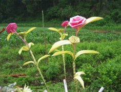 2020年农历一月十八是签约开业的吉日吗？