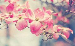 2020年正月初九装修动土好吗？这天卦象怎样