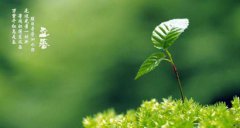 2020年立春可以乔迁新家吗，无春年能否搬家？