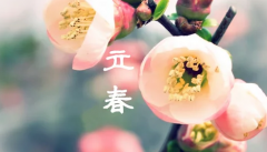 立春结婚好不好 2020年立春结婚好不好