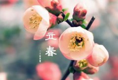 2020年立春可以搬家吗日子好不好？