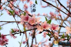 2020年立春前出生属啥生肖？立春怀孕好吗