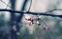 2020年立春后出生算正月嘛，属什么生肖？