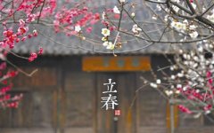 2020年立春当天出生的宝宝生肖属什么？