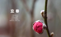 2020年立春要吃什么，有什么讲究？