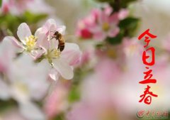 2020立春节气是什么时候 立春的时候要做什么