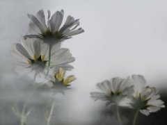 2020年立春是几月几日 关于立春的文学诗词