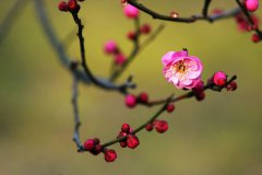 2020年农历腊月三十立春日子适合装修吗,立春是什么节气？