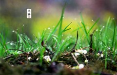 2020年腊月三十立春日子适合迁坟吗,立春就是春天了吗？