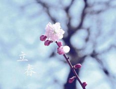 2020年2月4日立春不能出门吗,今天立春不宜出门远行吗？