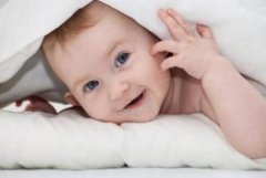 属猪的男孩在2020春节期间出生命运好吗?