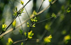 正月初十的禁忌有什么？要注意什么？