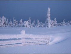 2020年农历十月适合提车的日子有哪些?