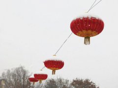 腊月什么花会开？腊月盛开的有哪些花？