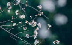 腊月有哪些事情不能做？要注意什么？