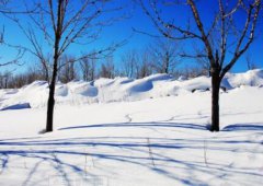 腊月要吃什么比较养生？