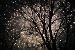 2020年正月十六宜忌有什么，什么事情不能做