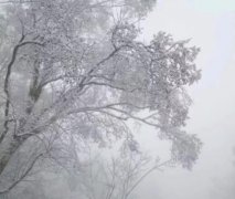 腊月要干嘛？腊月养生要注意什么？