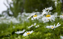 2020年腊月是农历几月,腊月为什么叫腊月？