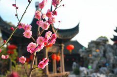 2020年正月十六可以结婚办婚礼吗