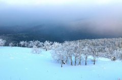 2020年腊月十五搬家入宅日子好吗？这天是搬家的好日子吗？