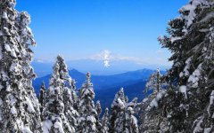 大寒是什么意思,2020年今天大寒卦象怎么样？