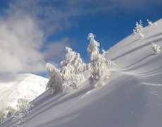 2020年腊月十八是什么节日？黄历好不好？