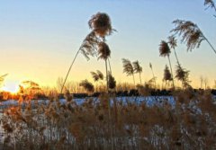 2020年农历腊月十五出生的男孩有怎样的命运？