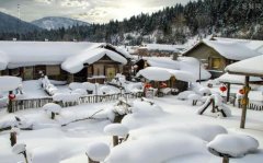 大寒吃什么较养生,大寒养生注意事项解析！