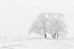 2020年大寒是几九？大寒节气如何驱寒保暖？