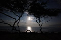 农历腊月十五的习俗,2020年农历腊月十五有什么习俗？