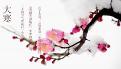 2020年大寒出行出远门好吗,2020年大寒是几月几日？