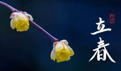 2020年哪天立春时间几点？打春是立春么