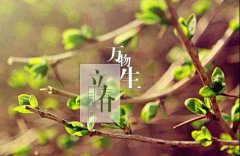 2020年农历初几立春，无春年不能结婚吗？