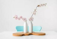 2020年猪年鲜花如何摆放较能招财,招财风水解析！